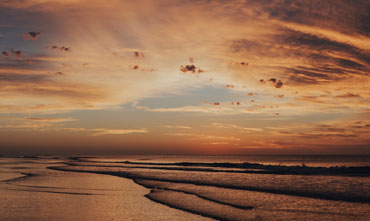 The Americas 03 Free Img